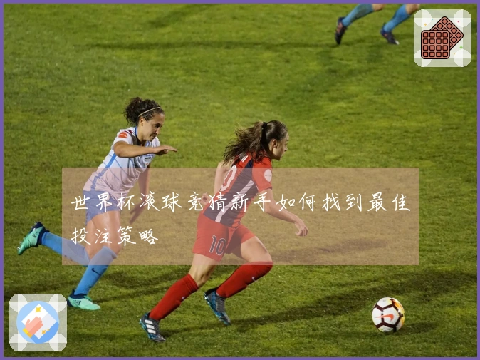 世界杯滚球竞猜新手如何找到最佳投注策略
