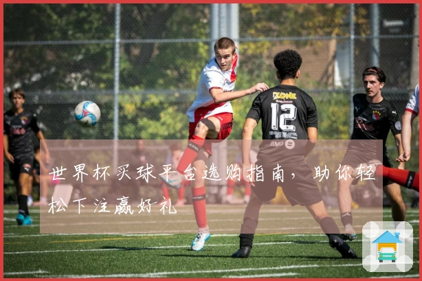 世界杯买球平台选购指南，助你轻松下注赢好礼