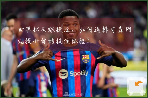 世界杯买球投注，如何选择可靠网站提升你的投注体验？