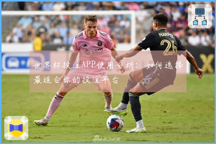 世界杯投注APP使用分析：如何选择最适合你的投注平台