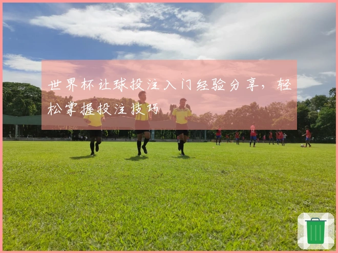 世界杯让球投注入门经验分享，轻松掌握投注技巧
