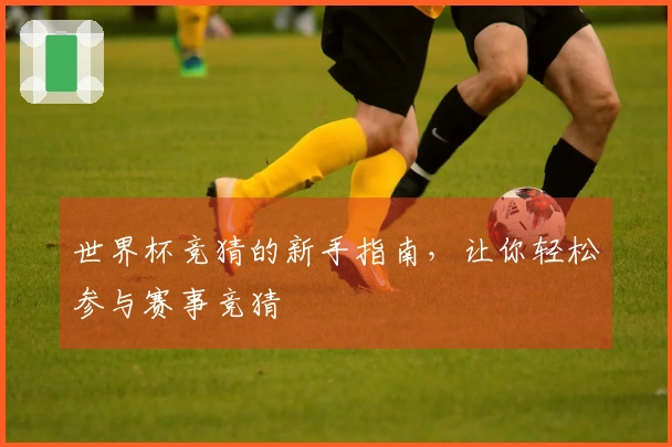 世界杯竞猜的新手指南，让你轻松参与赛事竞猜
