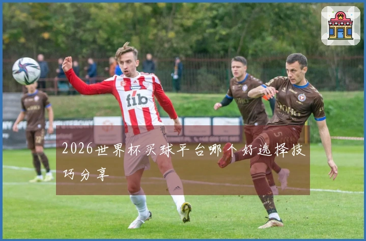 2026世界杯买球平台哪个好选择技巧分享
