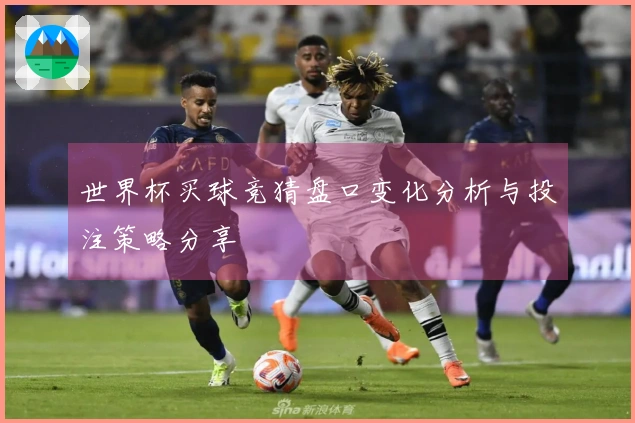 世界杯买球竞猜盘口变化分析与投注策略分享