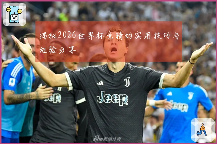 揭秘2026世界杯竞猜的实用技巧与经验分享