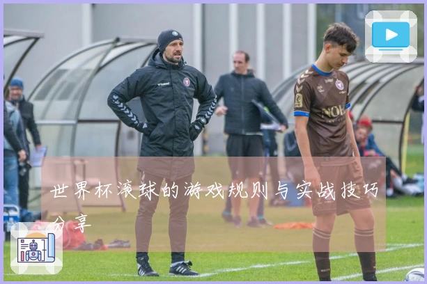 世界杯滚球的游戏规则与实战技巧分享